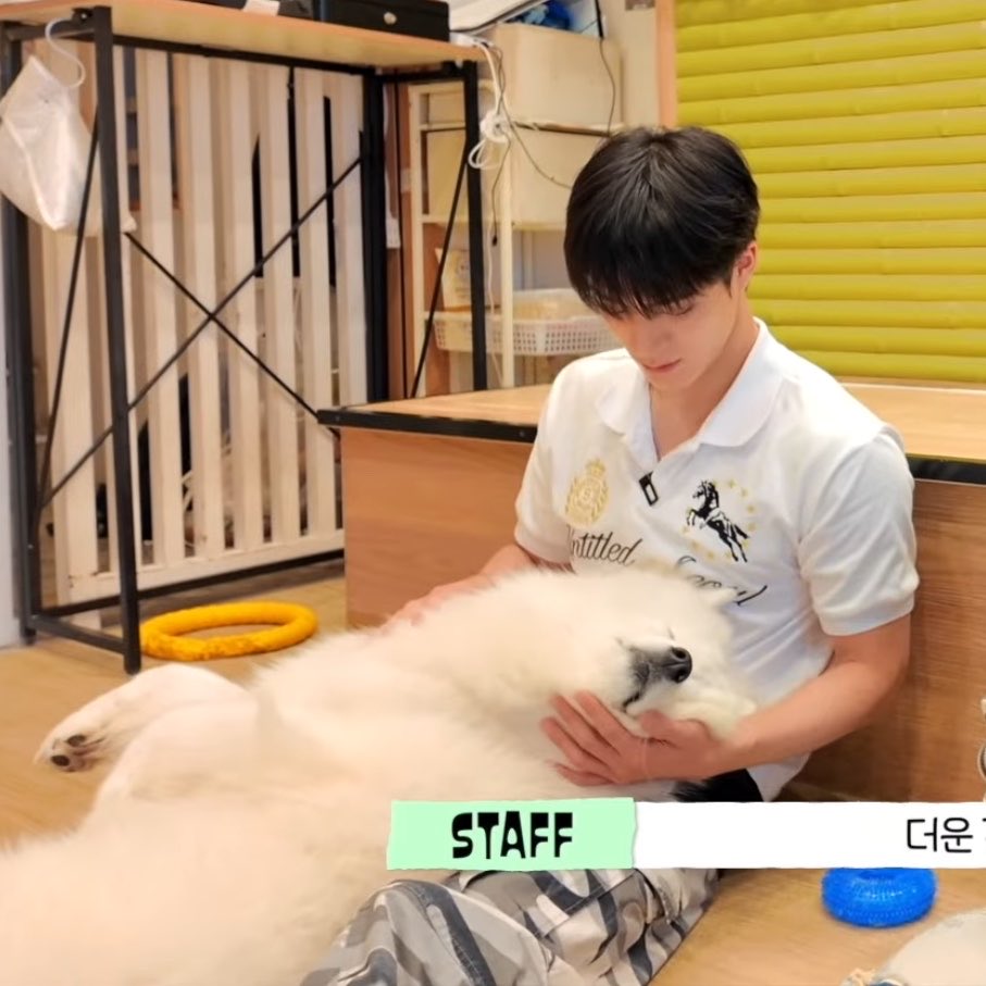 ljnsbff's tweet photo. jeno’s lap must be so comfortable i guess https://t.co/PqHdtDD9JF