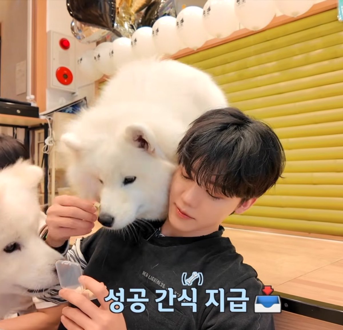 키키 ☁️ tweet media