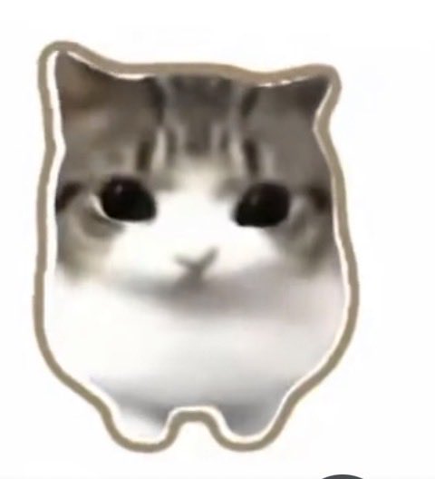 chees_eman's tweet photo. I want to take this fucking creature somewhere out in the Nevada desert strap it to a pole then fire 10 magazines of AR-15 ammo onto it then set its corpse on fire https://t.co/S73Drozly7