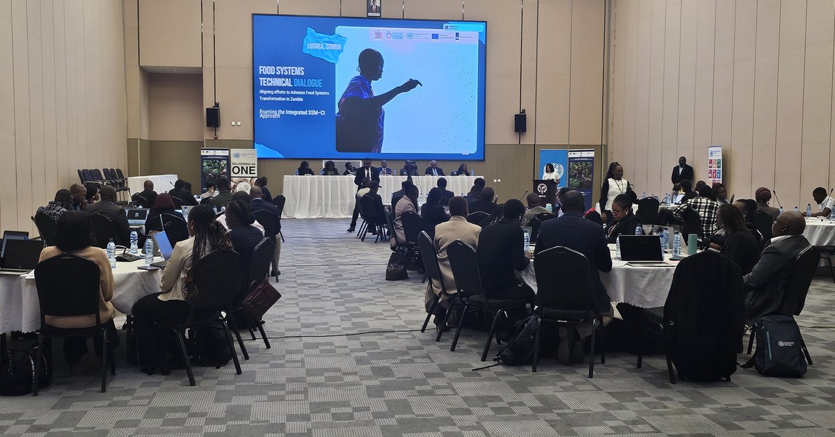 UN Zambia tweet media