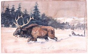 TTLastSpring tweet picture