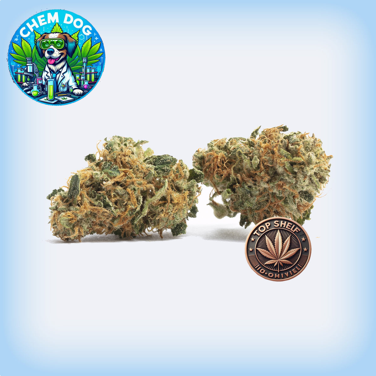 Islandroots_'s tweet photo. 🔥 Looking for top-shelf quality? ChemDog Premium Flower is the way to go! 🌿 Stand out with this exceptional pick. Shop now at https://t.co/Sn97WzFBkQ #premiumflower #topshelfweed https://t.co/FlMHX3nAHa