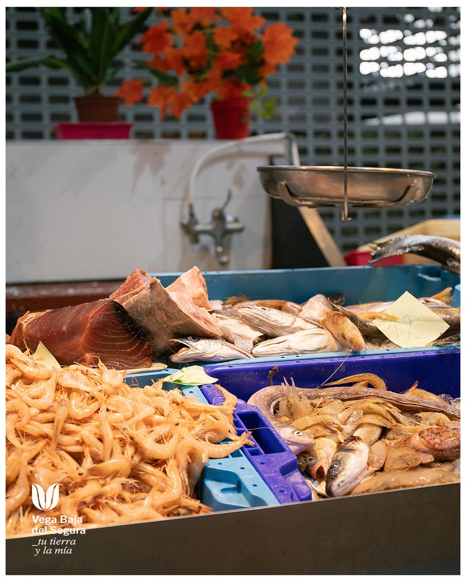 coMarcaVegaBaja's tweet photo. 🛒 Si quieres conocer un pueblo, empieza por su mercado.

El Mercado de Abastos de Callosa de Segura es producto local, cercanía y una forma de comprar que sigue muy viva en la Vega Baja del Segura.

📍 Callosa de Segura

@convega_com https://t.co/bdVgfNm5LV