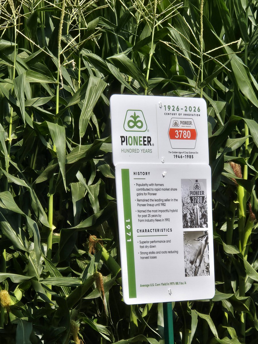 pioneerproud95 tweet picture