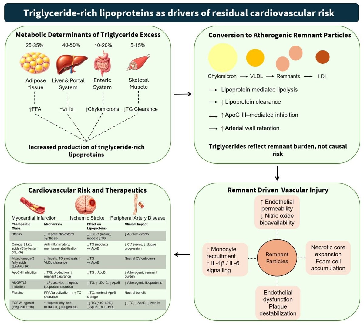 tirzepatide for inflammation Mounjaro (tirzepatide): Uses, Side Effects, Dosage & More Dr. Robert Glatter (@DrRobertGlatter) /