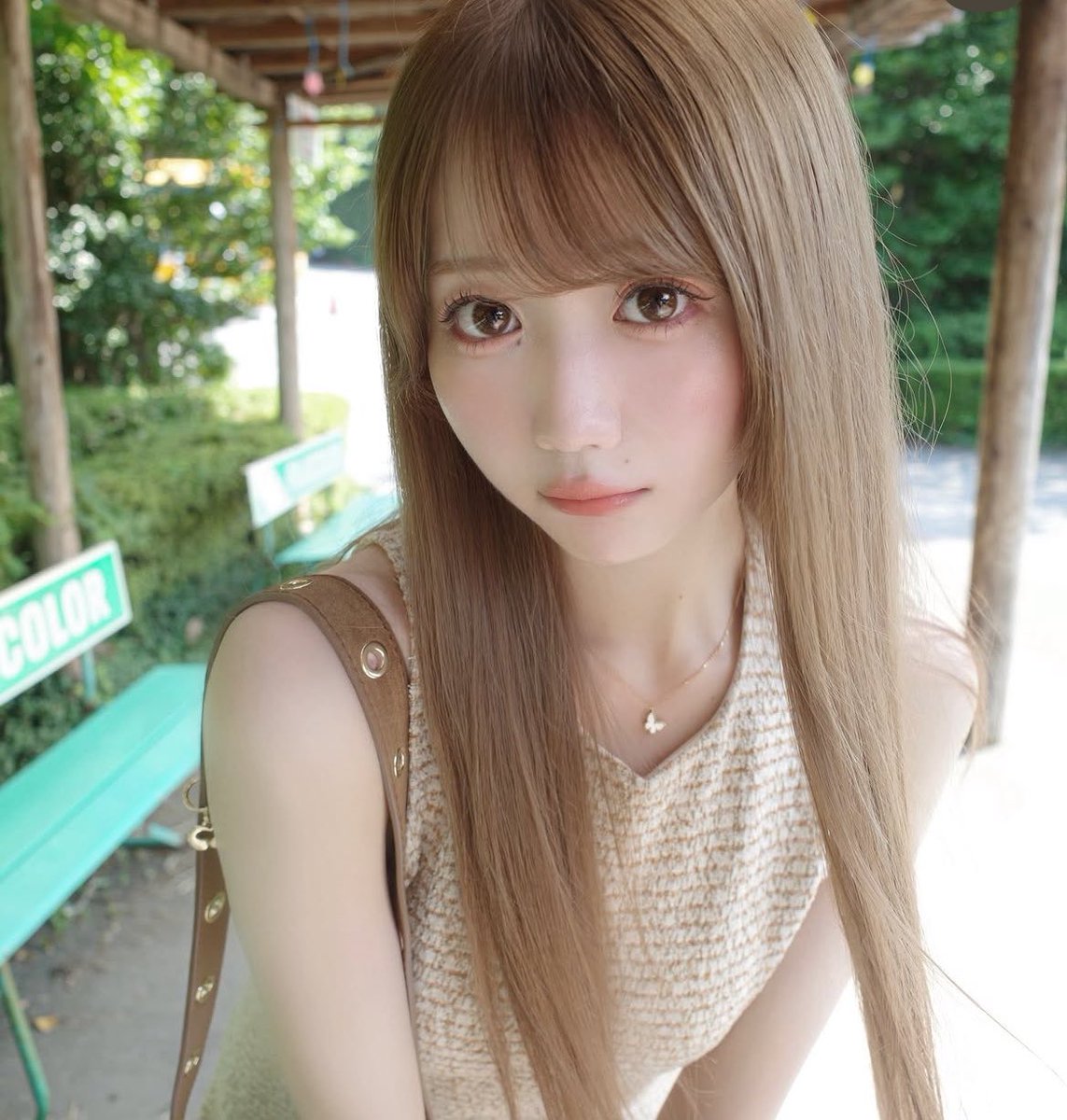 たぬき tweet media