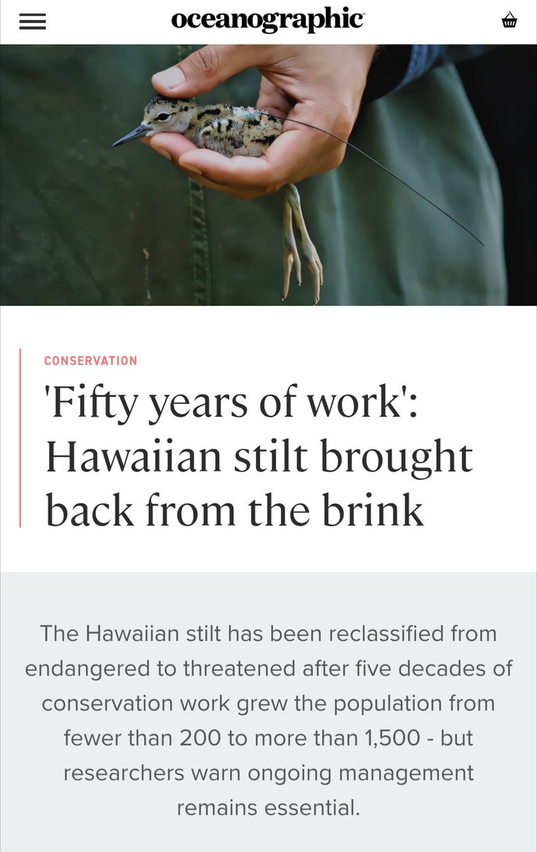 evilrelaysp0rt's tweet photo. with all the bad news out there we gotta start sharing good news too :') https://t.co/tCMVT5tvsS