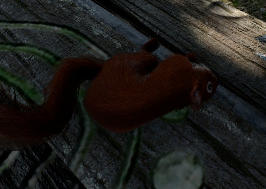 Pawfait_'s tweet photo. im sorry little dude its my fault https://t.co/k29H0yihce