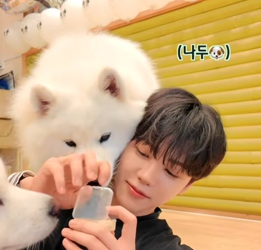 jaemtonyangie's tweet photo. So cuteeeee 🐶🐶
#재민 #JAEMIN https://t.co/PeJ0bAlsHF