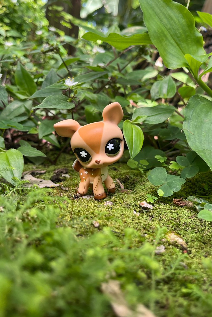 wildestpetshop's tweet photo. deers are my absolute favorite 🦌🍄‍🟫⭐️🤎 #lpstwt https://t.co/mo1U5KYxnT