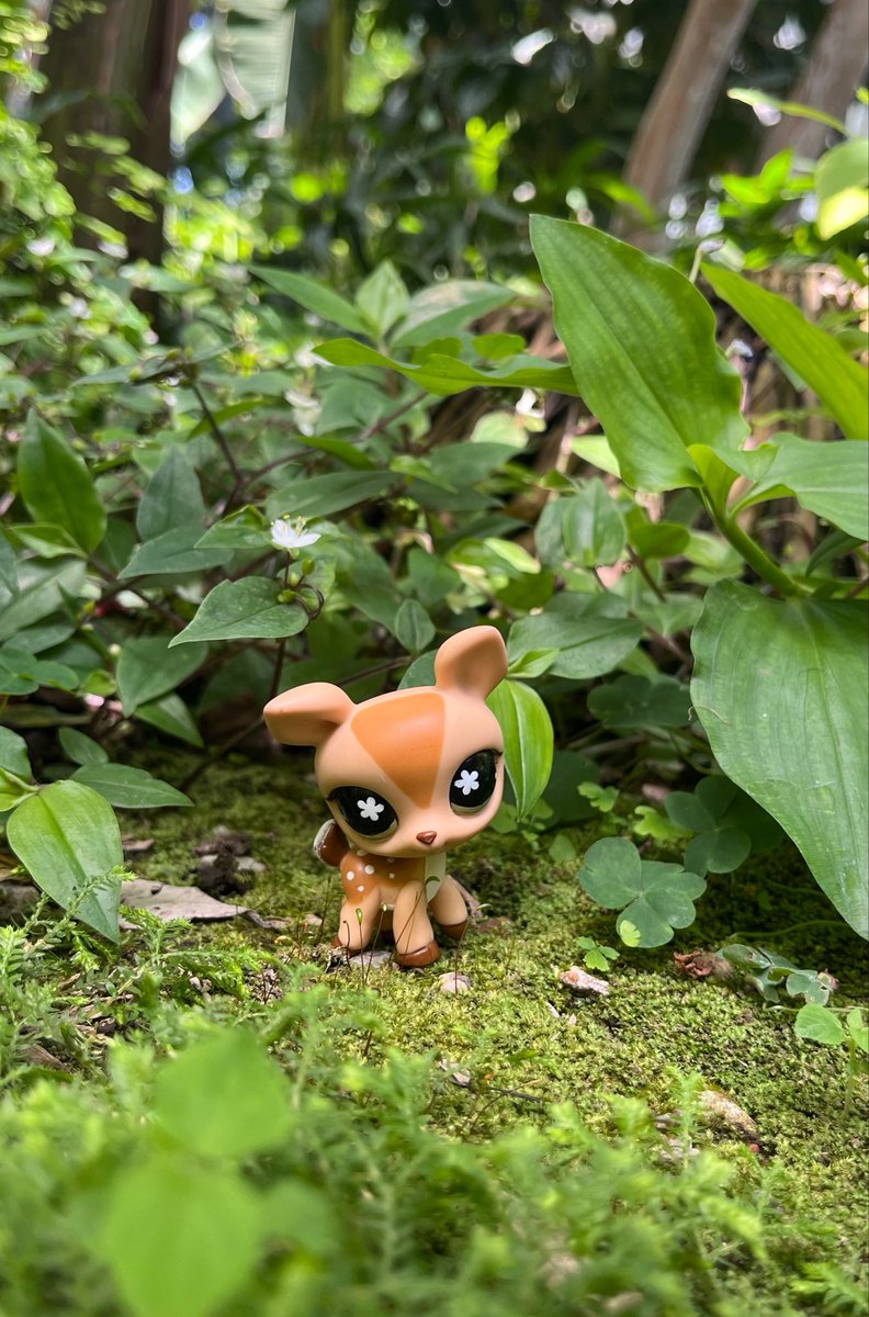 wildestpetshop's tweet photo. deers are my absolute favorite 🦌🍄‍🟫⭐️🤎 #lpstwt https://t.co/mo1U5KYxnT