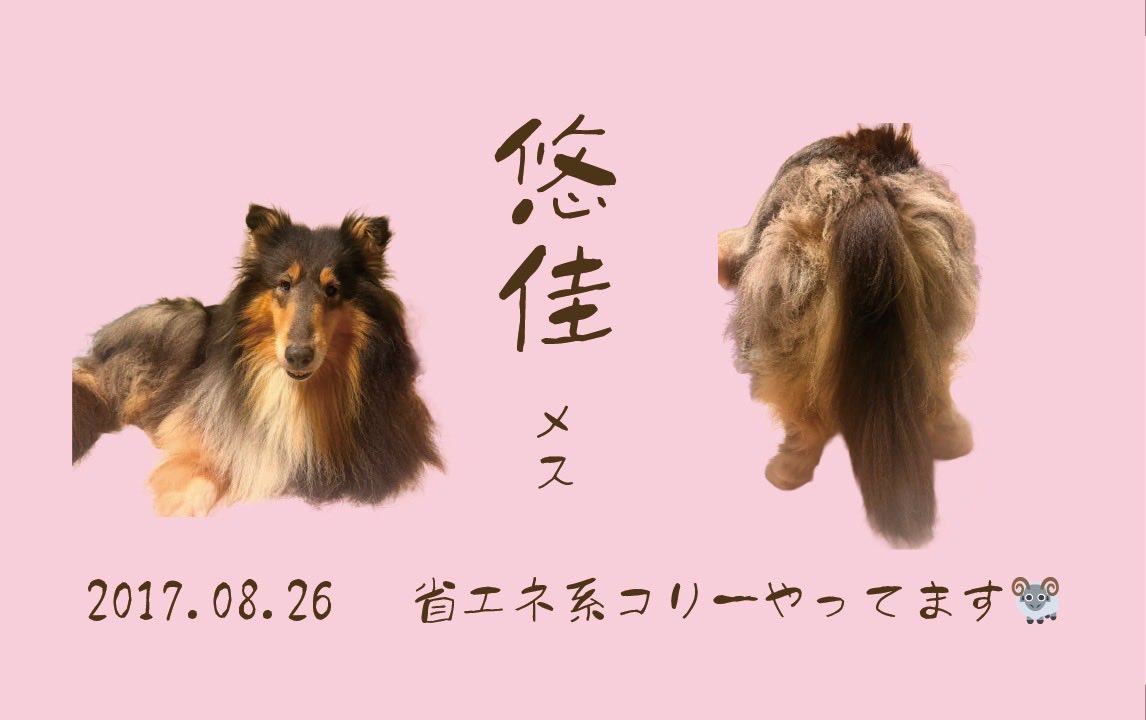 rhk_mk's tweet photo. スレッズで募集したおしり名刺
だんだんできてきて、かわいいがいっぱい💕 https://t.co/nLD7Qy6T6n