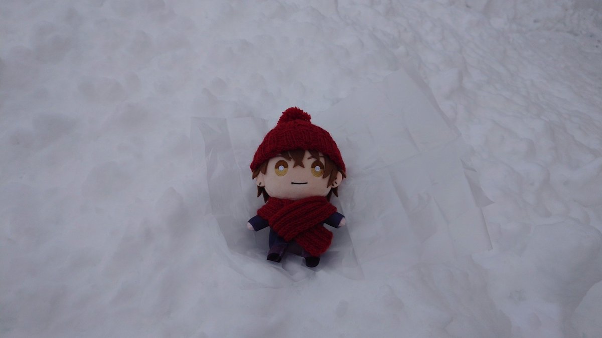 _mis_at_'s tweet photo. #暑すぎるので雪の画像で涼もう見た人もやる
#にじぱぺっとが見られるタグ

安全に配慮して配置されています https://t.co/bme1dcJpwV
