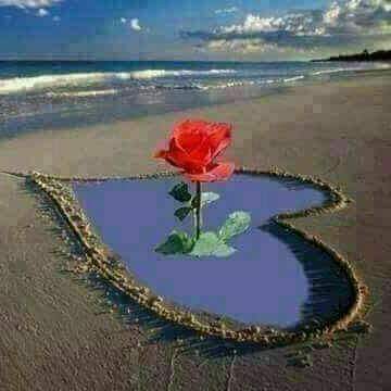 atef28100's tweet photo. @Sara671mx https://t.co/kMxBwf56X7