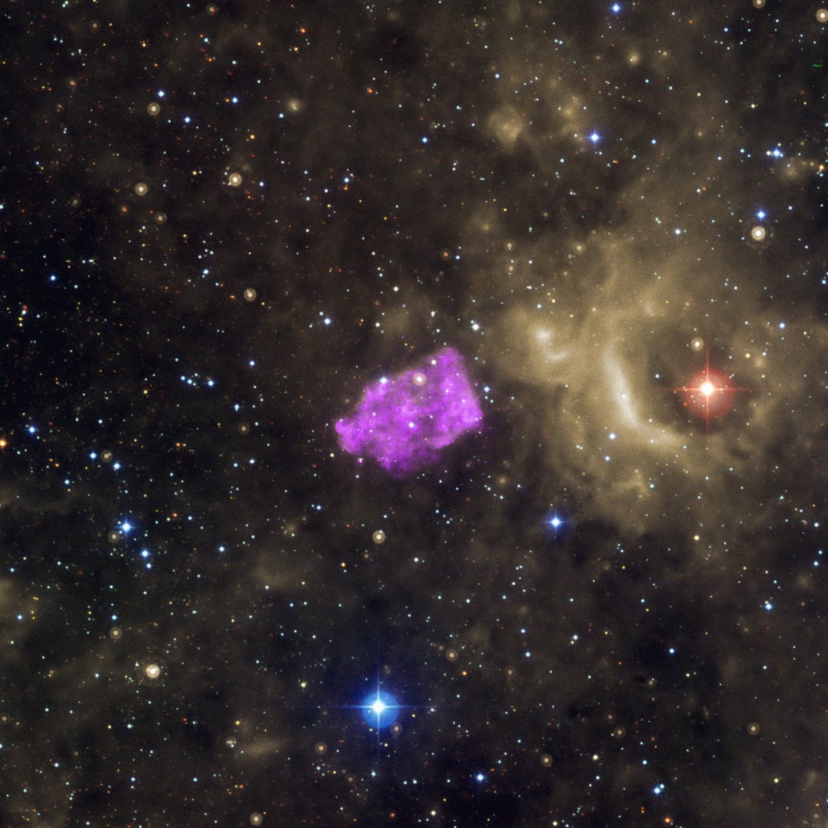 Nature_Beauty11's tweet photo. 3C 397 is a remarkable supernova remnant stretching roughly 50 light-years across

Its distinctive, box-like shape likely formed as the hot debris from the exploded star collided with the cooler surrounding gas. https://t.co/U73W6oWMHi