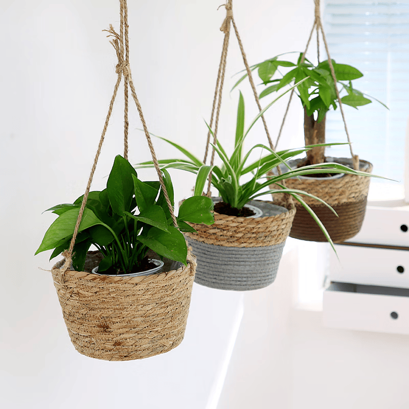 LizBrow36's tweet photo. [Just finished my DIY macramé plant hanger—zero experience needed u0026 so satisfying!  Swipe for the step-by-step breakdown! #Handmade #DIYCraft]， https://t.co/V8w3OOu0lq