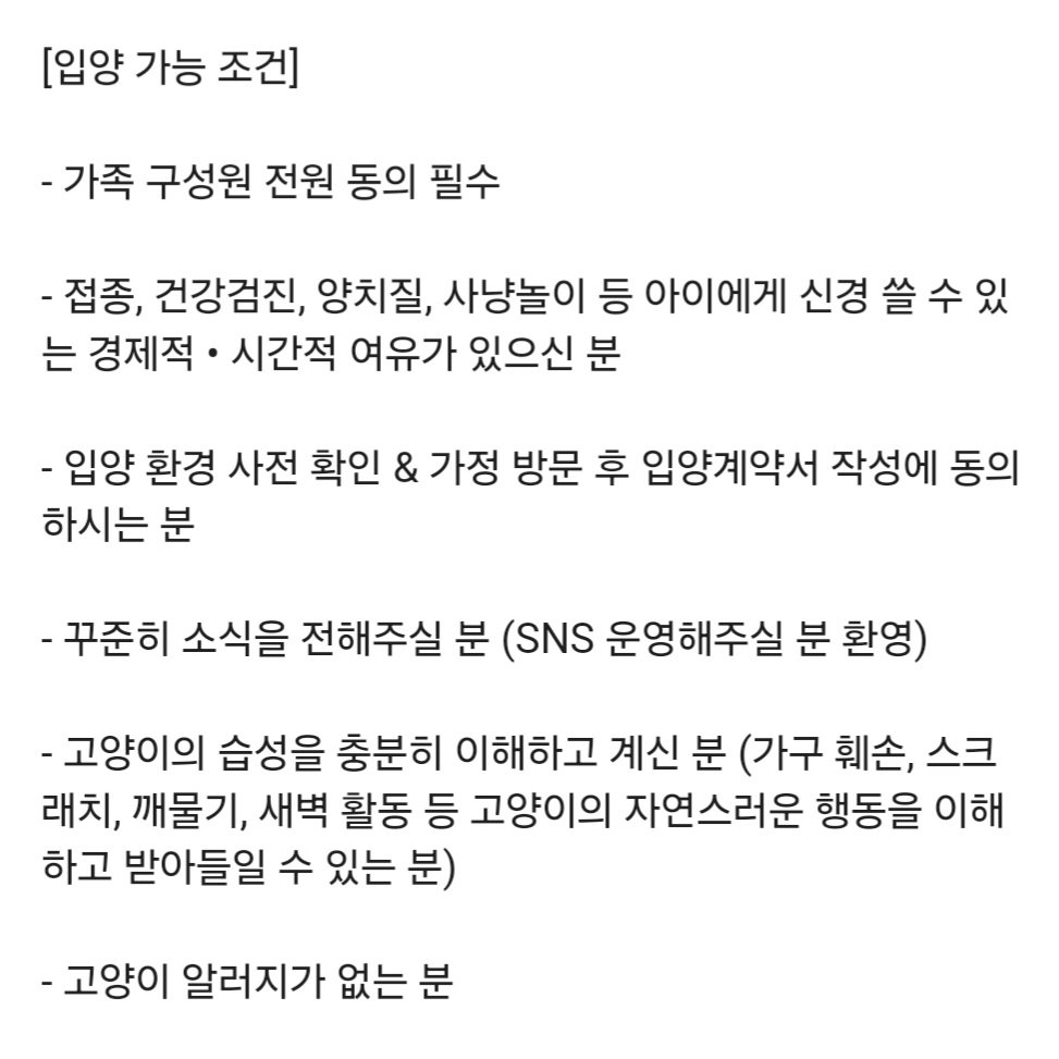 Ronbbang00's tweet photo. 🙇🙇RT 감사합니다🙇🙇
엄청난 미모와 애교를 가진 론빵이가 평생 가족을 찾아요!!

🔸️론빵/여/3개월 추정/1차접종완료
🔸️춘천/서울/경기/강원 차로 데려다드려요
🔸️호기심 많고 활발함, 혼자서도 잘 놀아요
🔸️안아도 얌전해요

디엠 주시면 입양 신청서 보내드릴게요! https://t.co/BRM4pKDvUS