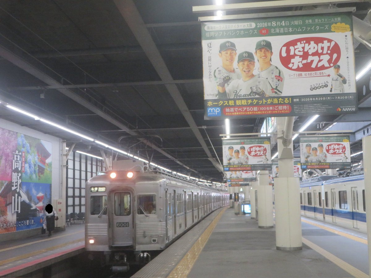 kito223R201's tweet photo. 今年の夏は蘇る昭和の時代......

大阪にホークス🦅が帰ってくる、、、
6001fと共に沿線は大盛り上がり！！

S37年生まれのステンレス車は今日も元気に昔から変わらぬ高野線を走り回る https://t.co/rGYvZmimzR