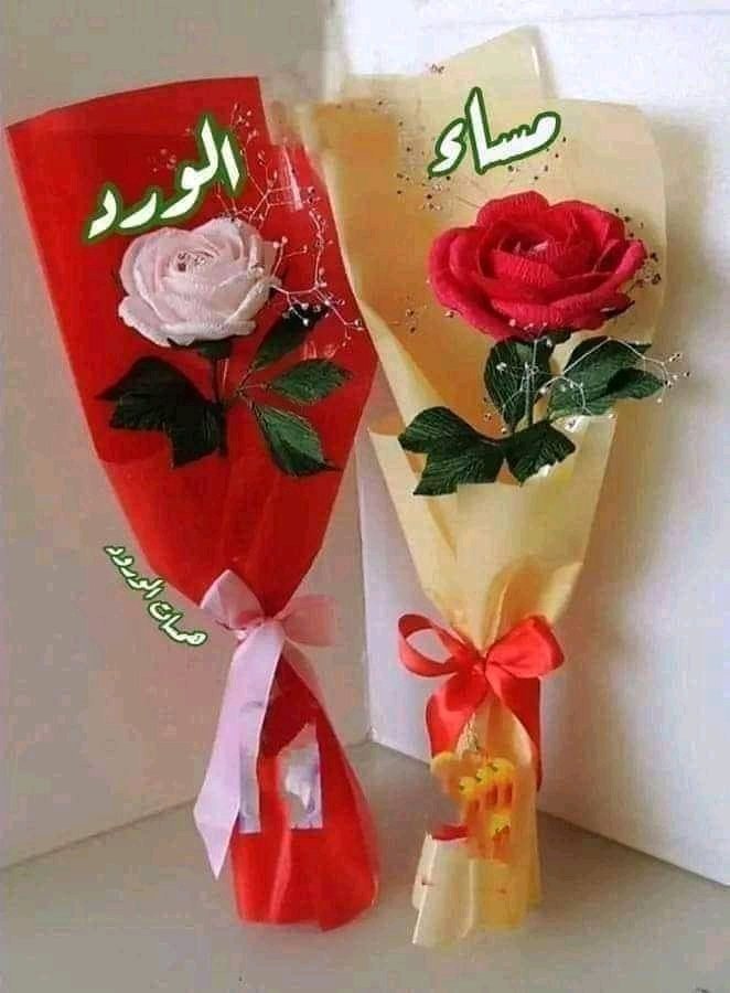 u8sj7's tweet photo. @Dodi73638970 لا يحلو المساء الا بنثر الورود على القلوب الحميلة  النقية 💖، مساء الورد وعطر الرياحين 🌹 https://t.co/BTynJSaCeH