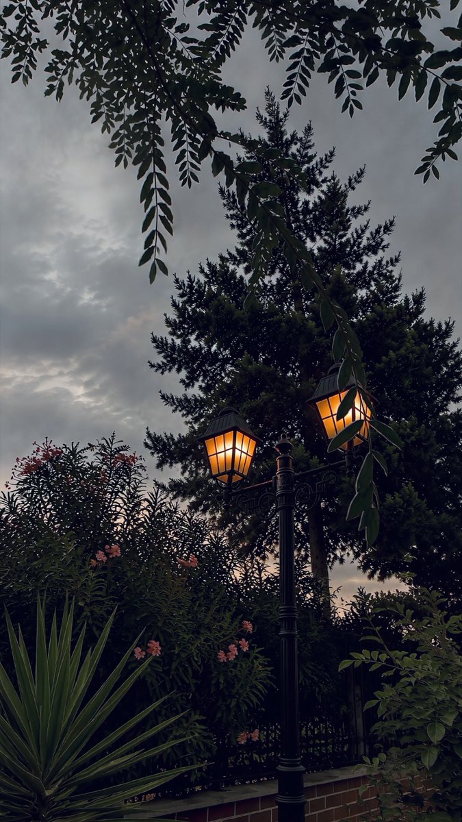 farukhesan's tweet photo. 🌿 #calm  #nature #doğa https://t.co/A2bAwWIsC9