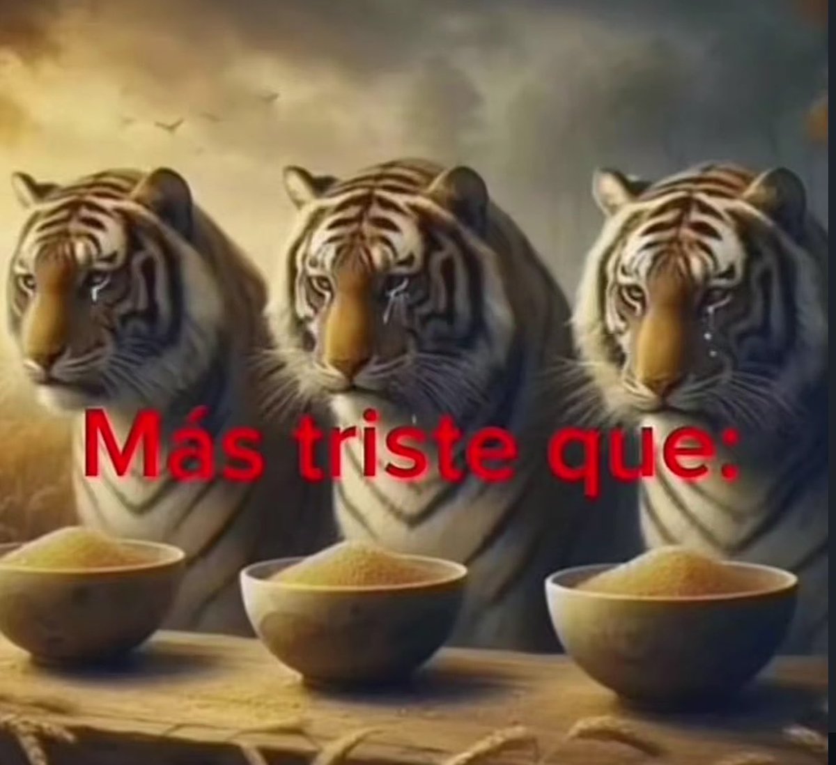 skereunpesado's tweet photo. https://t.co/mgOUdwhOvX