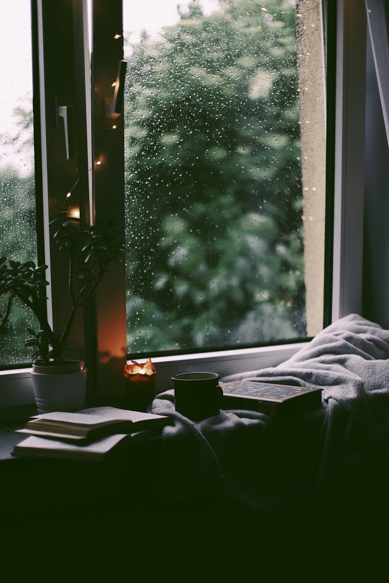 smilingicefan's tweet photo. Chased by a sudden downpour, found this cozy street corner with a cat curled up on a windowsill — perfect quiet pause in the city rush. https://t.co/MyPbVgA0XO
