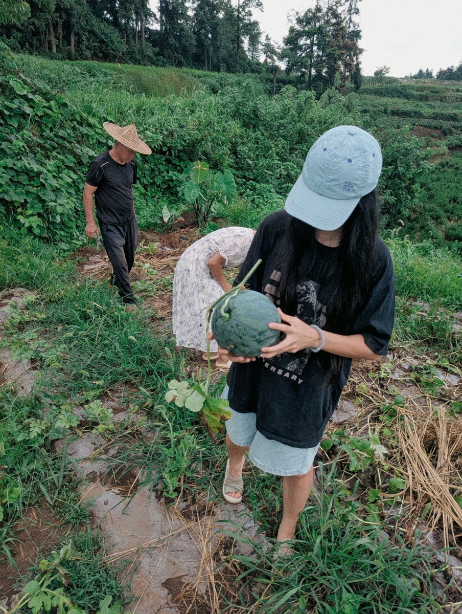 piwaiwai's tweet photo. 去舅舅家的瓜田里摘了一车瓜，在出啥吃啥的乡下，拿西瓜当饭吃的日子开始了。 https://t.co/R12Sa2LLHT