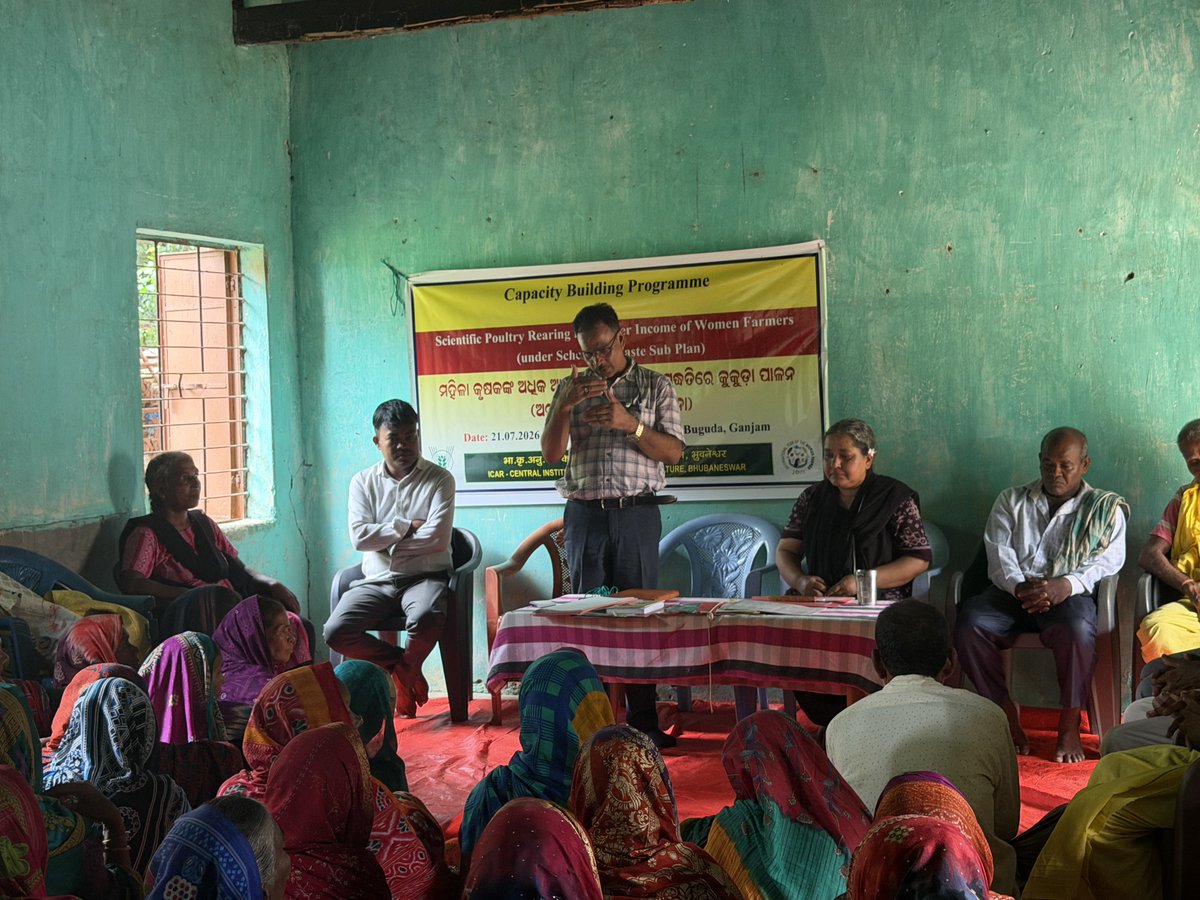 icar_ciwa's tweet photo. A training-cum-input distribution programme on “Scientific Poultry Rearing for Higher Income of Tribal Women Farmers” was organized on 21 July 2026 at Baradasahi Village, Buguda Block, Ganjam District of Odisha. https://t.co/qNcuhzhsGn