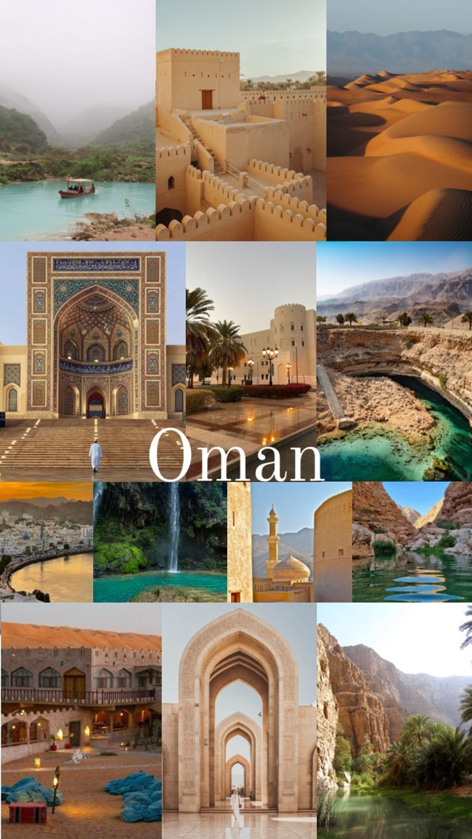 أصـالـة الـعامـرية tweet media