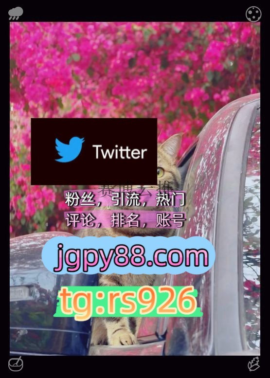 miluniv's tweet photo. Offer support to those in need now.深圳广州东莞佛山中山珠海
矩阵互动🌞輔助工具🌂自动脚本外🥁facebook推特脚本
点赞号推特账号海外流量、品牌推广、社媒营销长春
软件获客、海外推广、流量增长推广围331981海外获客🌺互推助手🎌数字货币🍁呼和浩特
关键词霸屏🧳熱門🌈权重号🌟推特老号🍄定時 https://t.co/9j6cOEn3fm
