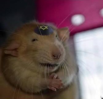 OKRx1's tweet photo. @MikeNellis 9/11 was committed by your beloved RATS https://t.co/fqwWXms1Il