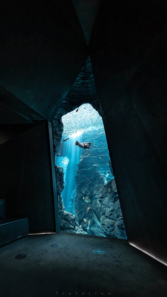 tsukarium's tweet photo. 梅雨明けは水族館に行けという合図でもある https://t.co/sNpINF7Y8M