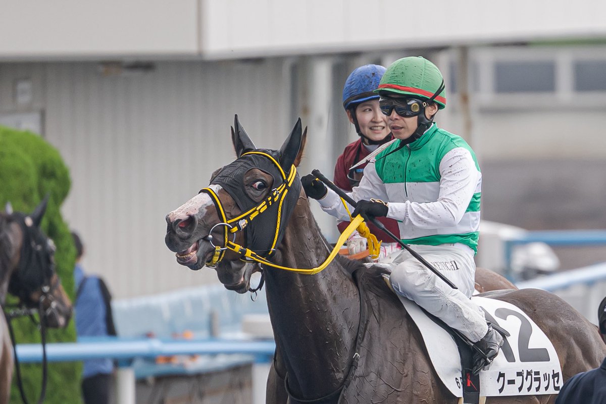 marikko_32's tweet photo. 2026.07.19 函館 6R 3歳未勝利
クープグラッセ×池添謙一 ジョッキー
岡田稲男 厩舎

 #池添謙一 
 #クープグラッセ 
 #岡田稲男 https://t.co/wm0i6bXi7l