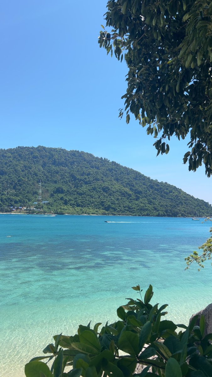safiaalm's tweet photo. Les îles perhentian et redang en Malaisie 🌴 https://t.co/dD4EOtz2nk
