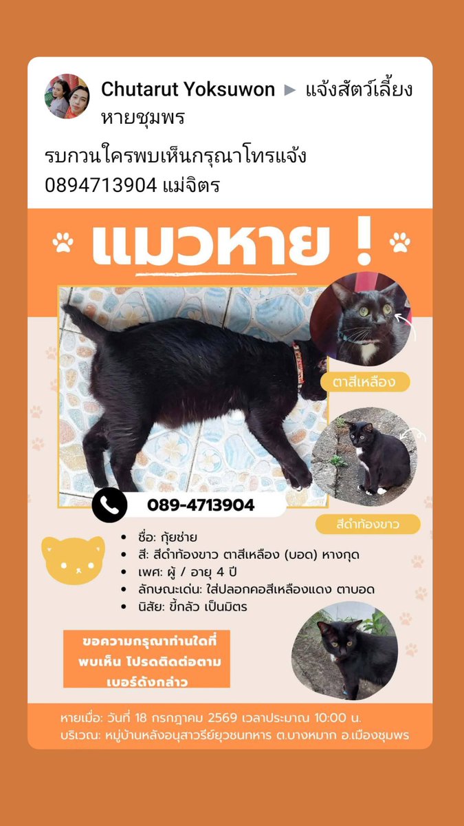 LoveyouApo's tweet photo. พิกัดชุมพร

รบกวนใครพบเห็นกรุณาโทรแจ้ง 0894713904 แม่จิตร

รบกวนใครพบเห็นกรุณาโทรแจ้ง 0894713904 แม่จิตร
#แมวหาย

https://t.co/oOqwtA22QB https://t.co/97IoTnithY