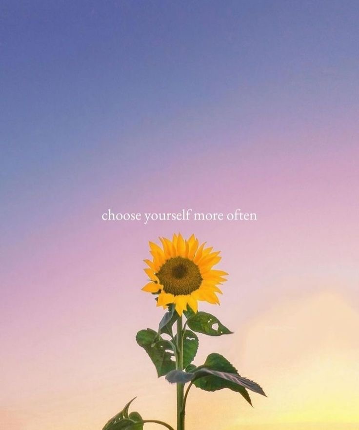 sunflowerchives's tweet photo. https://t.co/FQgN0hEcTF