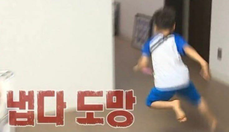 도운 오너 람모씨 tweet media