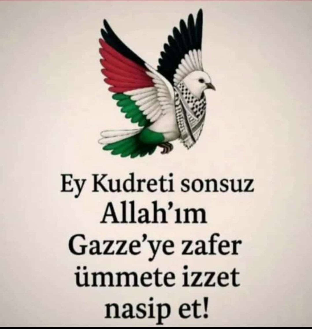 Gokhaniscimen's tweet photo. Rabbim Gazze'ye Zafer Ümmet-i Müslüman'a İzzet Nasip Et. #Amin https://t.co/AazeXTQwtC