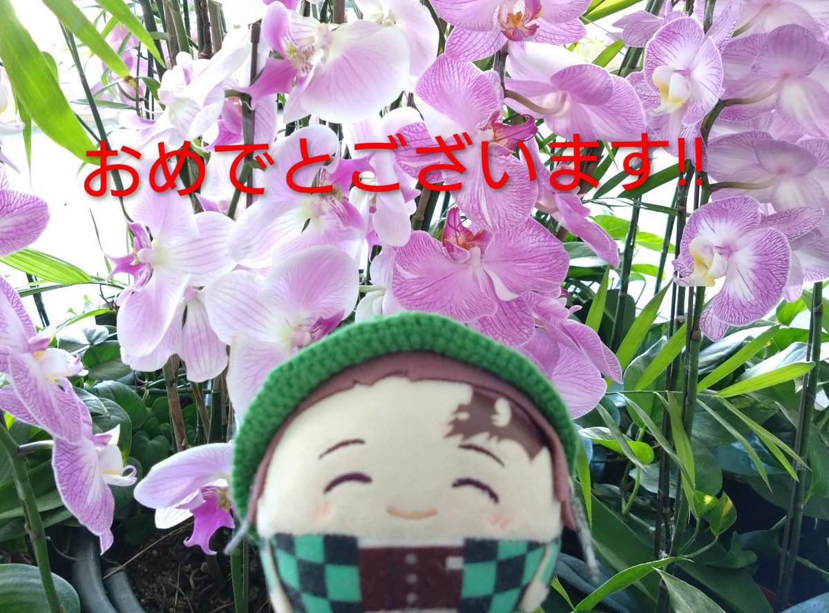 f243w's tweet photo. @yunayun75329214 yunayunaさん、お誕生日おめでとうございます!🎉🎂✨✨
良い一年となりますように!✨✨ https://t.co/rfHEdyltho