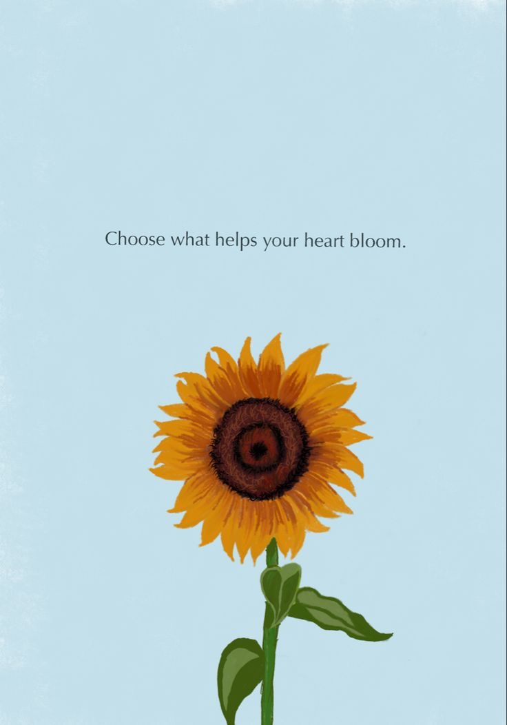 sunflowerchives's tweet photo. https://t.co/uTo042PlVs