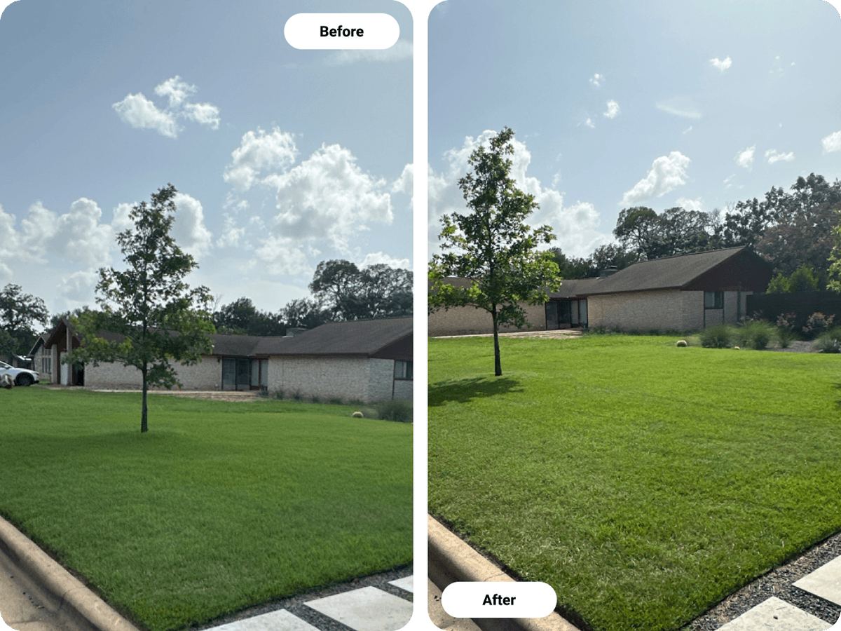 GoMowOfficial's tweet photo. Before &amp; After: Austin Summer Lawn Care

Texas summer can make grass grow quickly and yards look untidy. See the difference after regular lawn care from GoMow!

📍 Austin, Texas
🌐 https://t.co/zg5Z3aVbYJ

#AustinTX #AustinLawnCare #AustinLawnMowing #SummerLawnCare #TexasSummer https://t.co/vp2HNH3Z3r