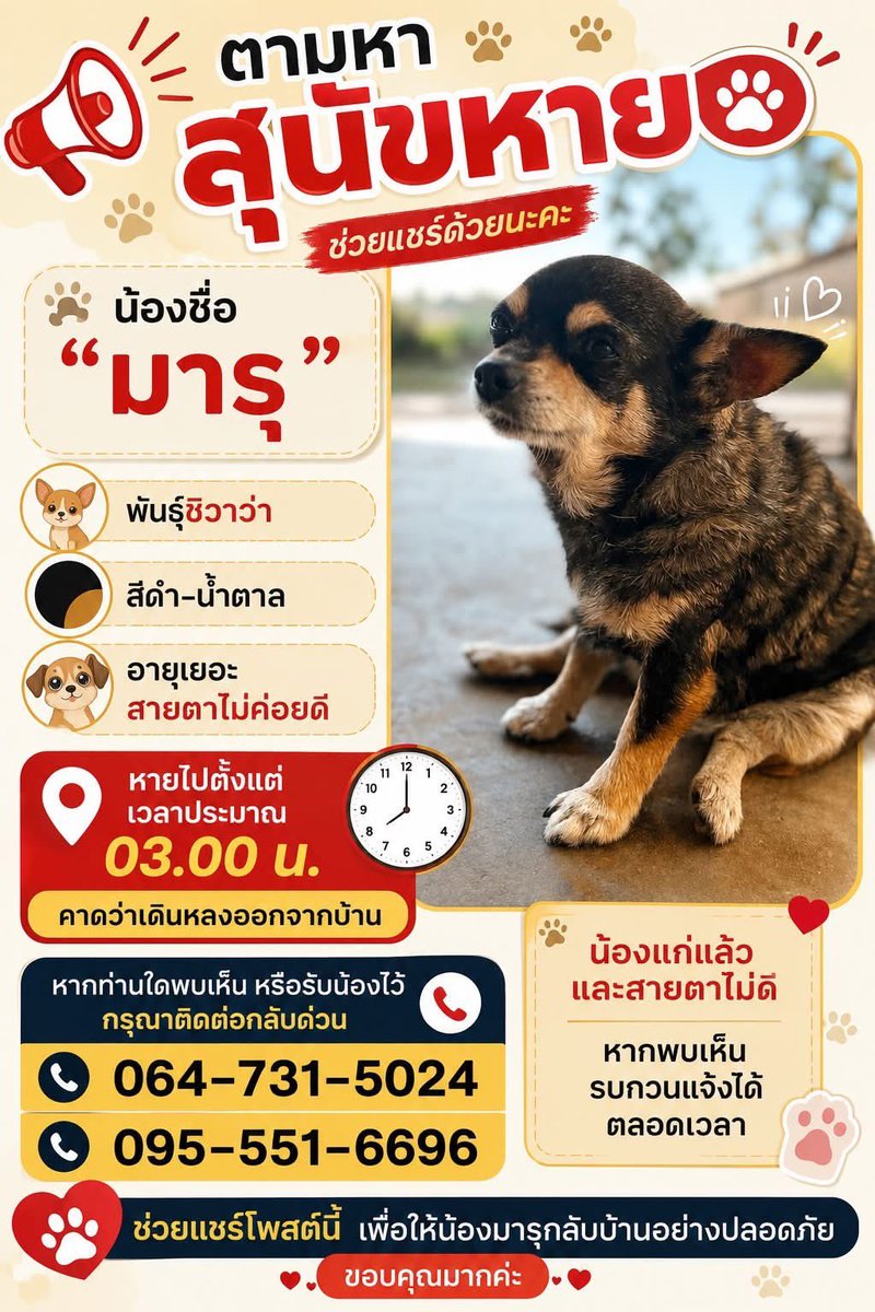 lllplps's tweet photo. ทุกคนช่วยรีทีนะคะ🙏

น้องหมาของเพื่อนเราหาย น้องอายุมากแล้ว ใครอยู่แถวสิงห์บุรีช่วยทีนะคะ ใครเจอน้องโทรไปที่เบอร์ติดต่อได้เลย ขอบคุณมากๆค่ะ🥹🙏

พิกัด 📍อ.พรหมบุรี จ.สิงห์บุรี

#หมาหาย #ตามหาหมา #สิงห์บุรี https://t.co/HMW07wa0yG