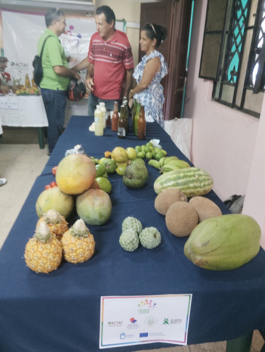 madalyts's tweet photo. En desarrollo "Taller #PinarDelRio 360 Manos que cultivan, Corazones que transforman" , espacio para la generalización de resultados científicos hoy aplicados por los productores pinareños y donde destaca el empoderamiento de la mujer rural.
#PinarEn26
#MiMoncadaEsHoy https://t.co/CUbHbF80Y6