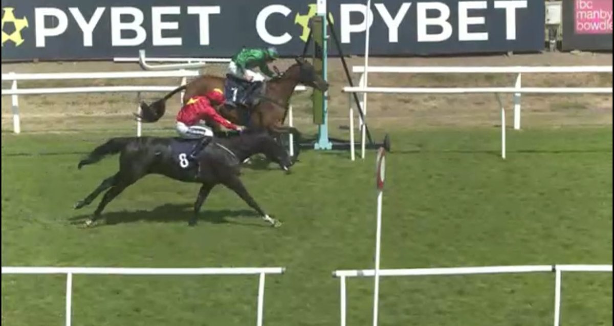 HoovesNHounds's tweet photo. Cannot believe that horse hasn’t got up to win that race 🤯🤯 https://t.co/2rims6zRd3