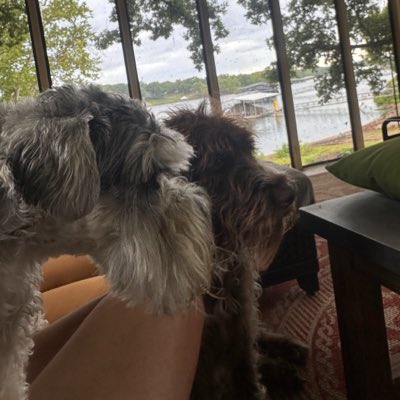 DanKal_Dad's tweet photo. #NewProfilePic https://t.co/YvIHoFyMM2