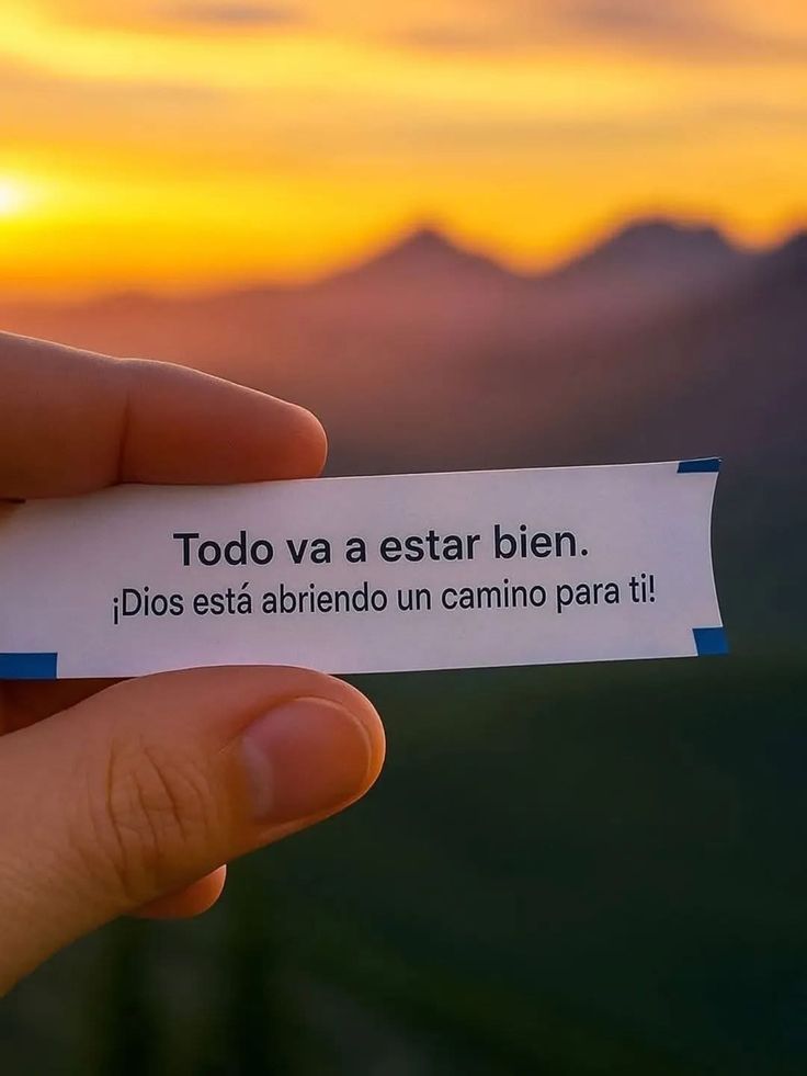elsiervo__'s tweet photo. https://t.co/1oiYAUU9UY