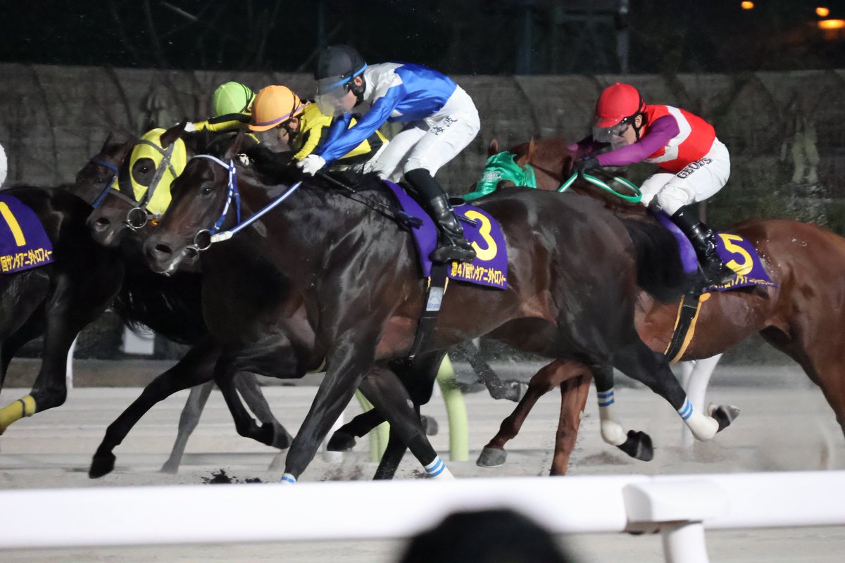 Air_1239's tweet photo. 2026.07 11R 1,600m
第47回 サンタアニタトロフィー(S III)
フジユージーン🐎
#大井競馬
#杉山海波 騎手
#ゴールデンバローズ
#岡野尚光厩舎 https://t.co/dlsPEAWVzY