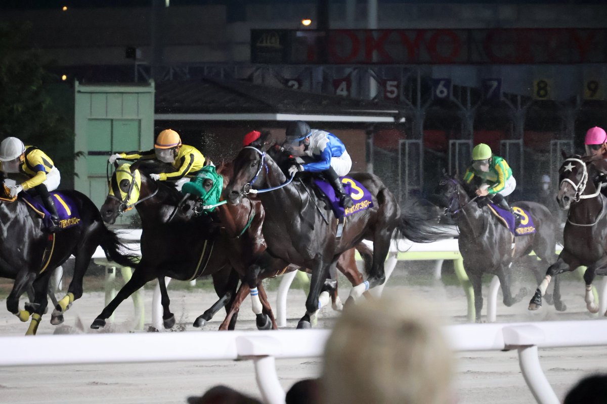 Air_1239's tweet photo. 2026.07 11R 1,600m
第47回 サンタアニタトロフィー(S III)
フジユージーン🐎
#大井競馬
#杉山海波 騎手
#ゴールデンバローズ
#岡野尚光厩舎 https://t.co/dlsPEAWVzY
