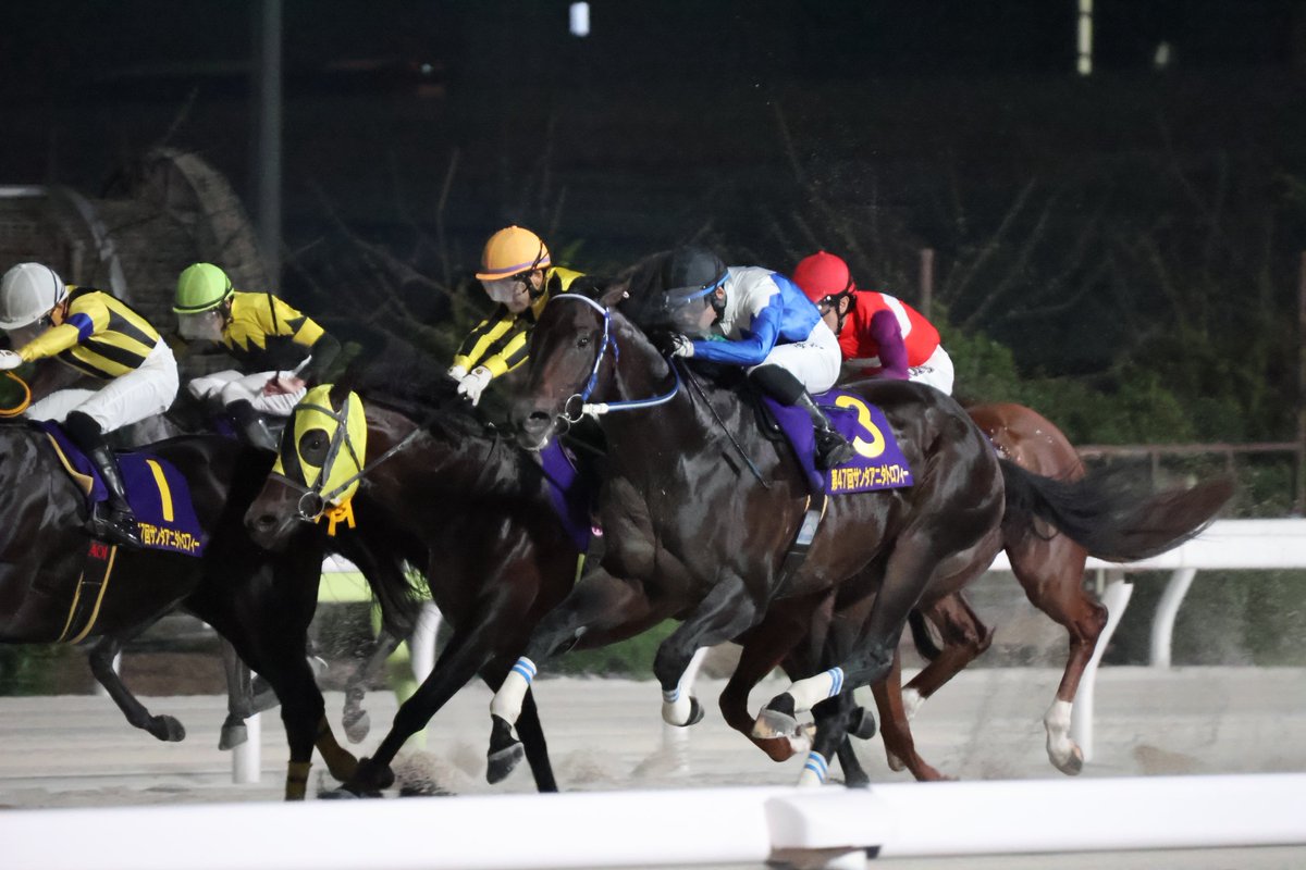 Air_1239's tweet photo. 2026.07 11R 1,600m
第47回 サンタアニタトロフィー(S III)
フジユージーン🐎
#大井競馬
#杉山海波 騎手
#ゴールデンバローズ
#岡野尚光厩舎 https://t.co/dlsPEAWVzY