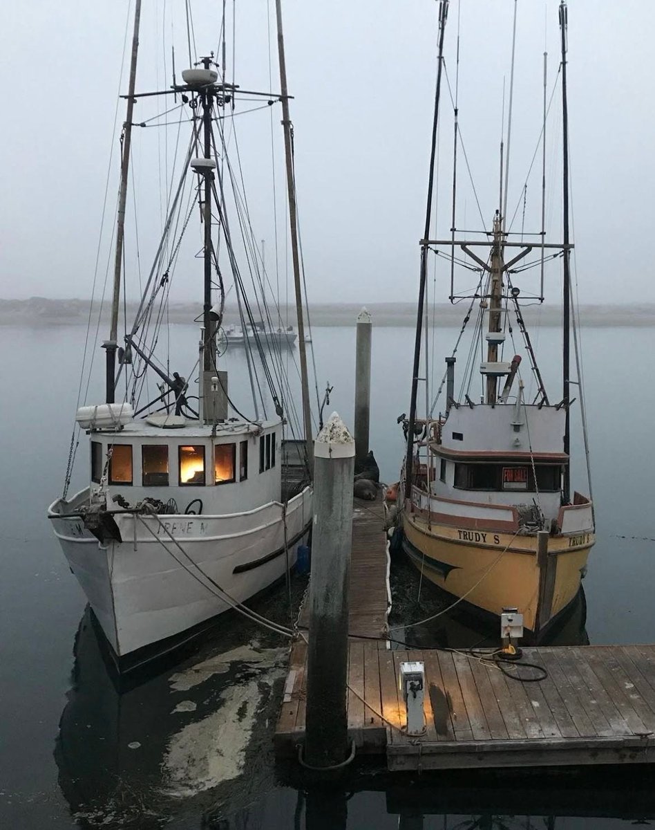 cabinsmountain's tweet photo. oh to live in a quiet seaside town where the forest meets the sea https://t.co/3PWRRJYcSl